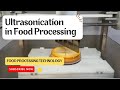 What is ultrasound in food processing  food science and technology  food processing industry