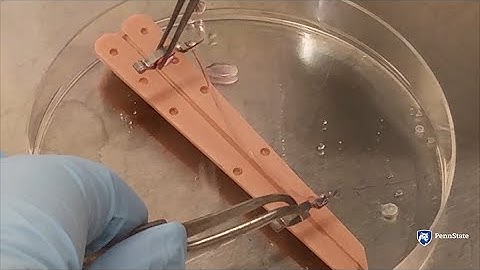 3D printing may produce cartilage for worn out joints in future