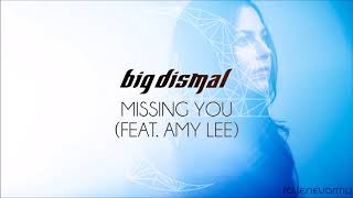 Video thumbnail of "Big Dismal - Missing You (Feat. Amy Lee)"