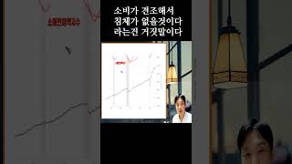 소비가 견조해서 침체가 오지않는다는건 거짓말이다 #shorts