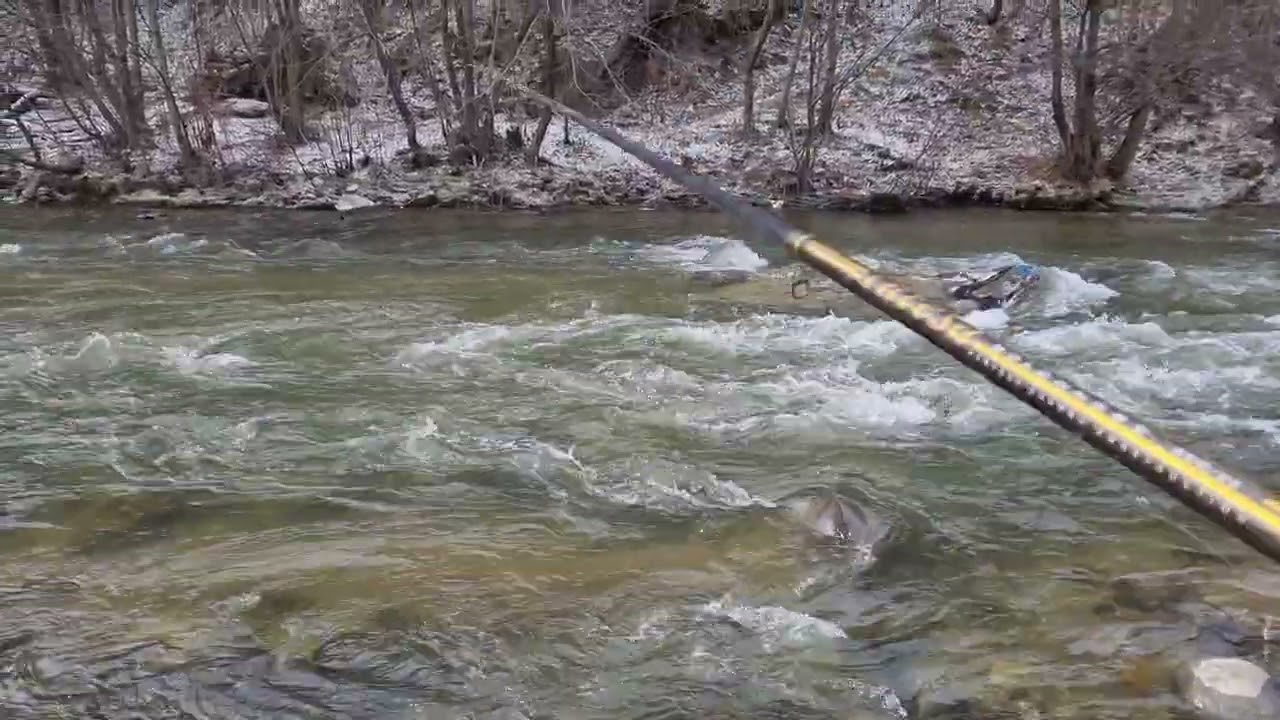 PESCUIT LA PLUTĂ, PE JIU 