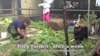 Wandana Primary School from garden to plate