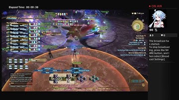 FFXIV void ark 24 healer