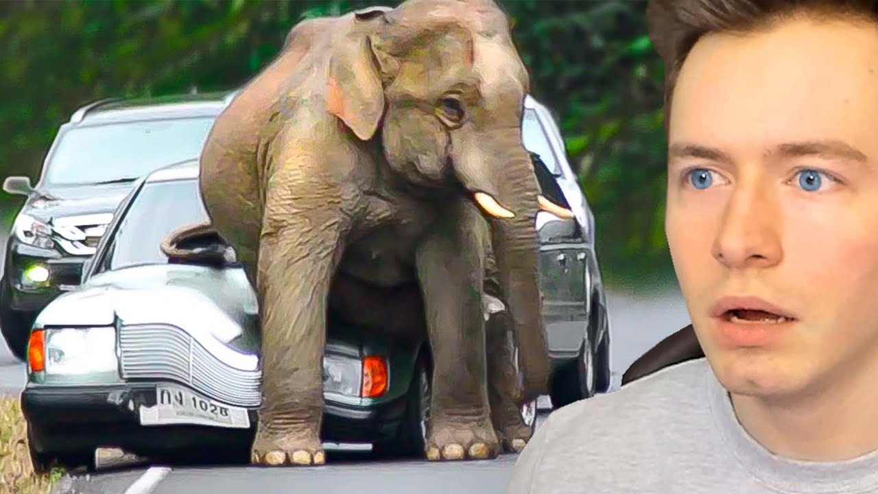 Die TEUERSTEN FAILS der WELT! (Part 3)