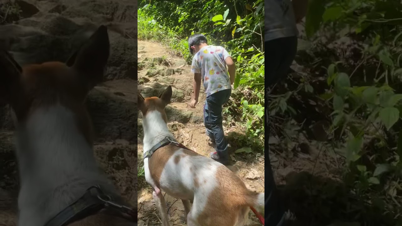 Hiking at Sri Bintang Hill Trail. A nice place to hike, suitable for beginner and kids too.