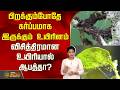 பிறக்கும்போதே கர்ப்பமாக இருக்கும் உயிரினம்.. விசித்திரமான உயிரியால் ஆபத்தா? | ViralNews
