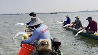 Gió lên đổi con nước câu cá kết dính quá mạnh  Sông Nước Cửu Long  Nguyễn Hùng