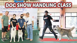 From STAGE MOM to HANDLER sa DOG SHOW!?