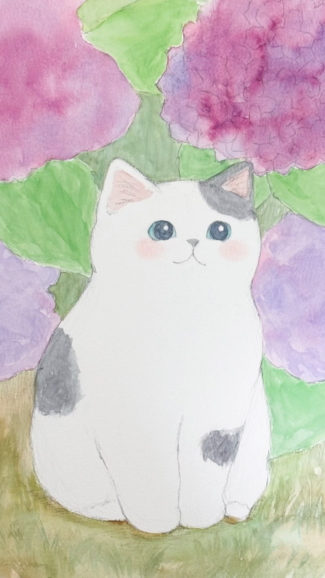 「ムサシ」猫イラスト（原画） 梅雨☔】あじさいとにゃんこ #cat #art #猫 #イラスト - YouTube