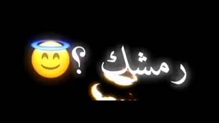 بصي يا قطتي😹 دعم يخواتي بي الحب