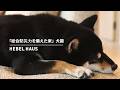 「総合防災力を備えた家」犬篇 ｜ヘーベルハウス