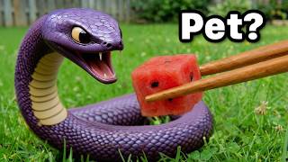 I Got Every Team Rocket Pokémon In Real Life