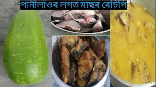 পানীলাওৰ লগত মাছৰ ৰেচিপি// Bottle Gourd fish recipe//simple and testy bottle gourd fish recipe//