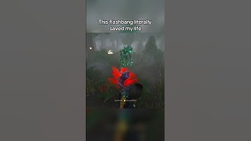 Using flashbang in chase is superior 🫡 #dbd #dbdfyp #dbdmemes #dbdshorts #dbdvideos #deadbydaylight