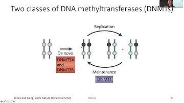 2020 STAT115 Lect12.2 DNA Methylation