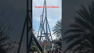 Islands Of Adventure- The Biggest Drop Of The Velocicoaster