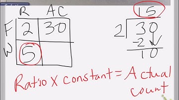 Saxon Math Course 1 Lesson 80