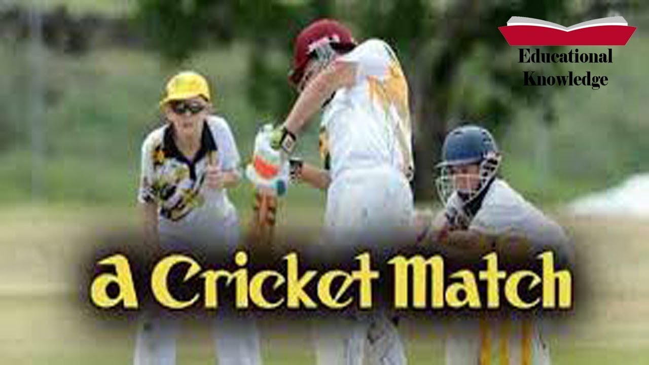 Essay A Cricket Match With Quotation For Class 10th Class 12th YouTube