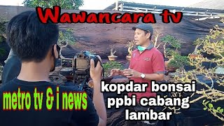 Metro Tv Indosiar Dan Inews Kopdar Bonsai Lambar