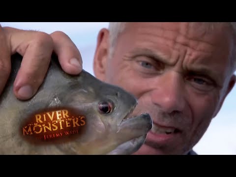 River Monsters™ 