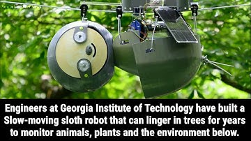 Robot Sloth to Monitor Animals and Track Endangered Species | Wild Life | Latest news