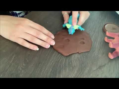 make your own fossil kit