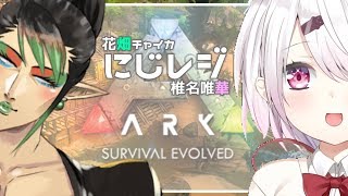 花畑チャイカと賢者の洞窟　レジスタンスのARKその3　洞窟編