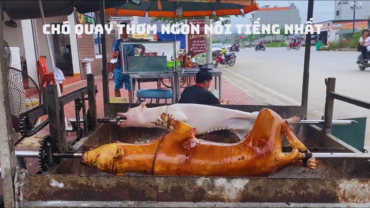 Chó quay thơm ngon nổi tiếng ngày 10 con đầu tháng - YouTube