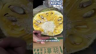 Cara menghilangkan getah nangka di tangan 😱
