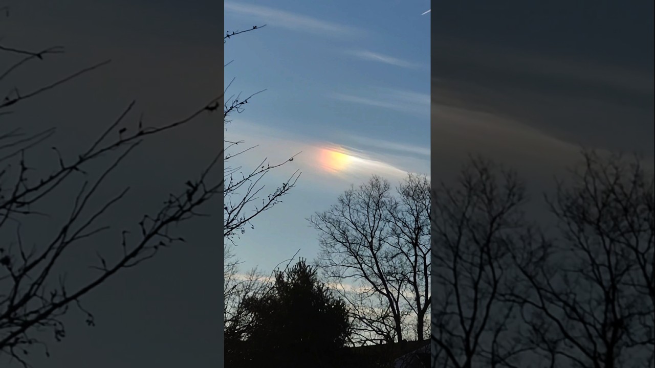 НЕ ПРОСТО СОЛНЕЧНЫЙ ПЕС, ЧАСТЬ 2 🌞🐕😂