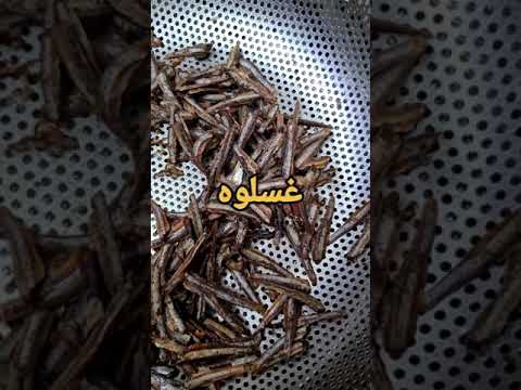 مرقة قاشع سمك مجفف