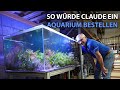 So wrde claude ein aquarium bestellen  zu gast bei newwaveconcepts