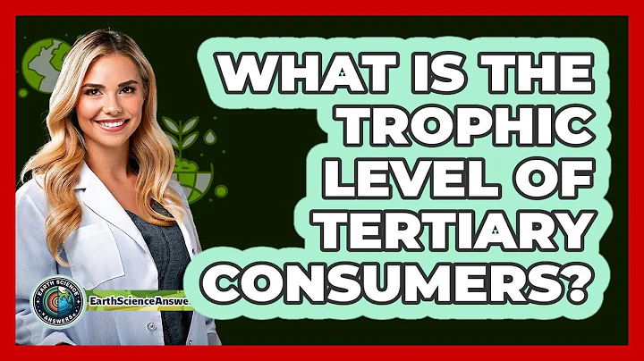 What Is The Trophic Level Of Tertiary Consumers?
