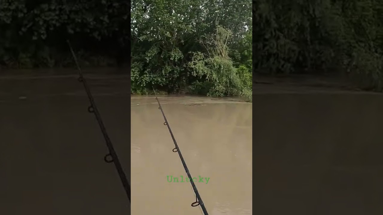 Spinning Fishing in Italy ( pesca al pesce siluro)