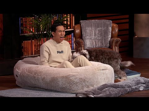 Shark Tank Season 14 Episode 5 Plufl Dog Bed for Humans