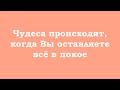 Чудеса происходят когда Вы оставляете всё в покое