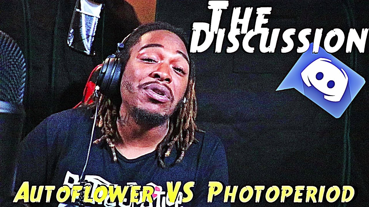The Discussion #4 | Autoflower VS Photoperiod Differences & My Opinions