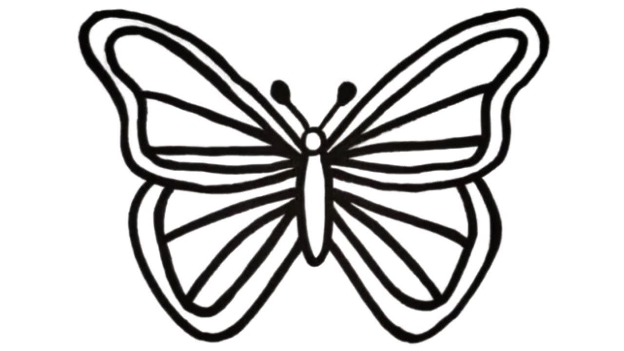 how to draw cute butterfly drawing tips very easy drawings draw so cute