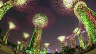 (7) Singapore Gardens by the Bay 【新加坡】 濱海灣花園 ガーデンズ・バイ・ザ・ベイ