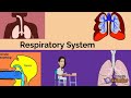 Respiratory System Quiz