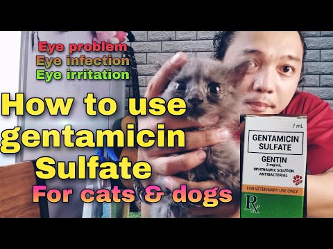Video: Neomycin Sulfate - Pet, Dog At Cat Na Gamot At Listahan Ng Reseta