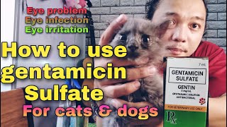 How to use Gentamicin Sulfate for Cat and Dogs