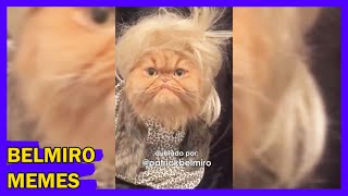 Belmiro Memes: Dublagens de animais engraçados - Episódio 131