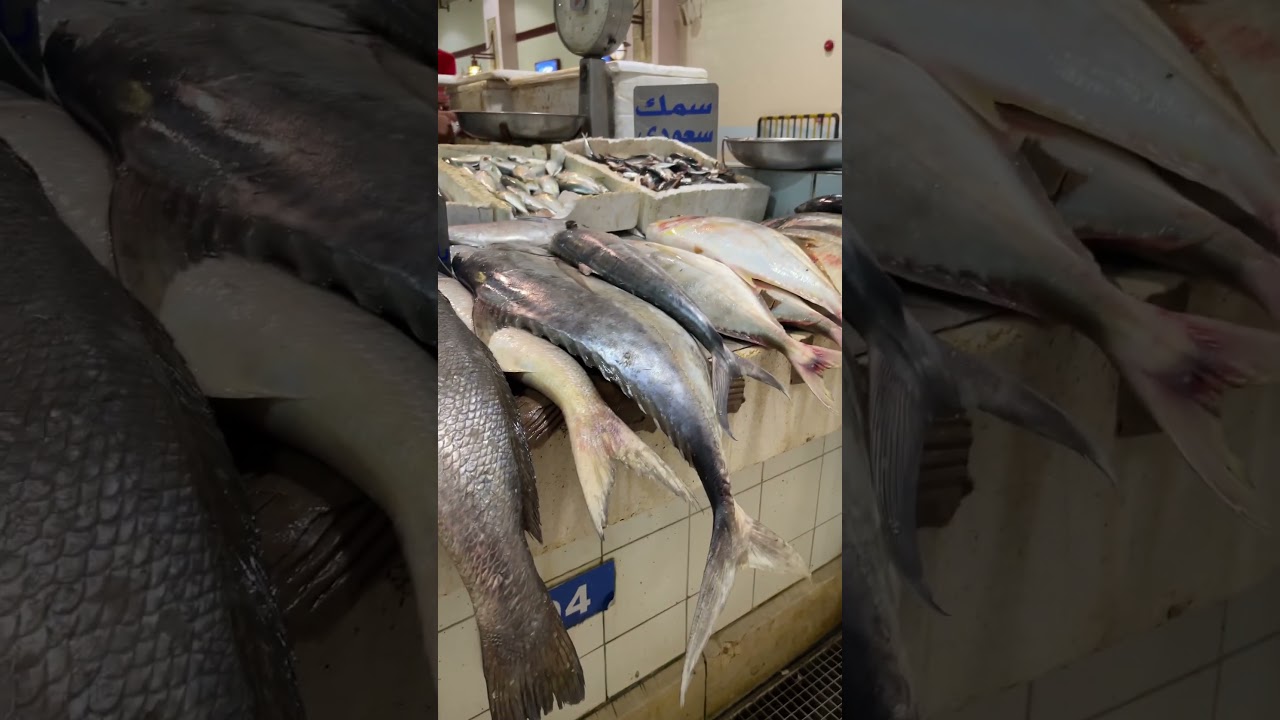 Fish market in Kuwait