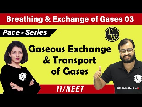 Breathing and Exchange of Gases - 03 | Gaseous Exchange and Transport of Gases | Class 11| NEET |