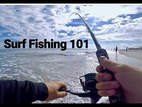 Surf Fishing Florida Season Chart