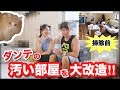 汚過ぎるダンテん家をモテ部屋に大改造計画！！ の動画、YouTube動画。