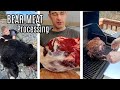 PROCESSING AND COOKING BLACK BEAR |  ITALIAN SAUSAGE,  HAM, AND BREAKFAST SAUSAGE