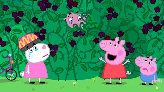 Hide and Seek 🫣 🐽 Peppa Pig and Friends Full Episodes by Peppa and Friends 34,960 views 12 days ago 1 hour, 2 minutes