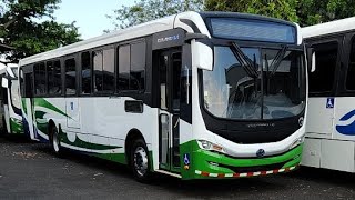 CRBUSES está en vivo | Novedades